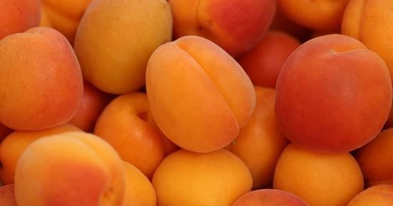 مشمش اصفر حلقة كوم 3